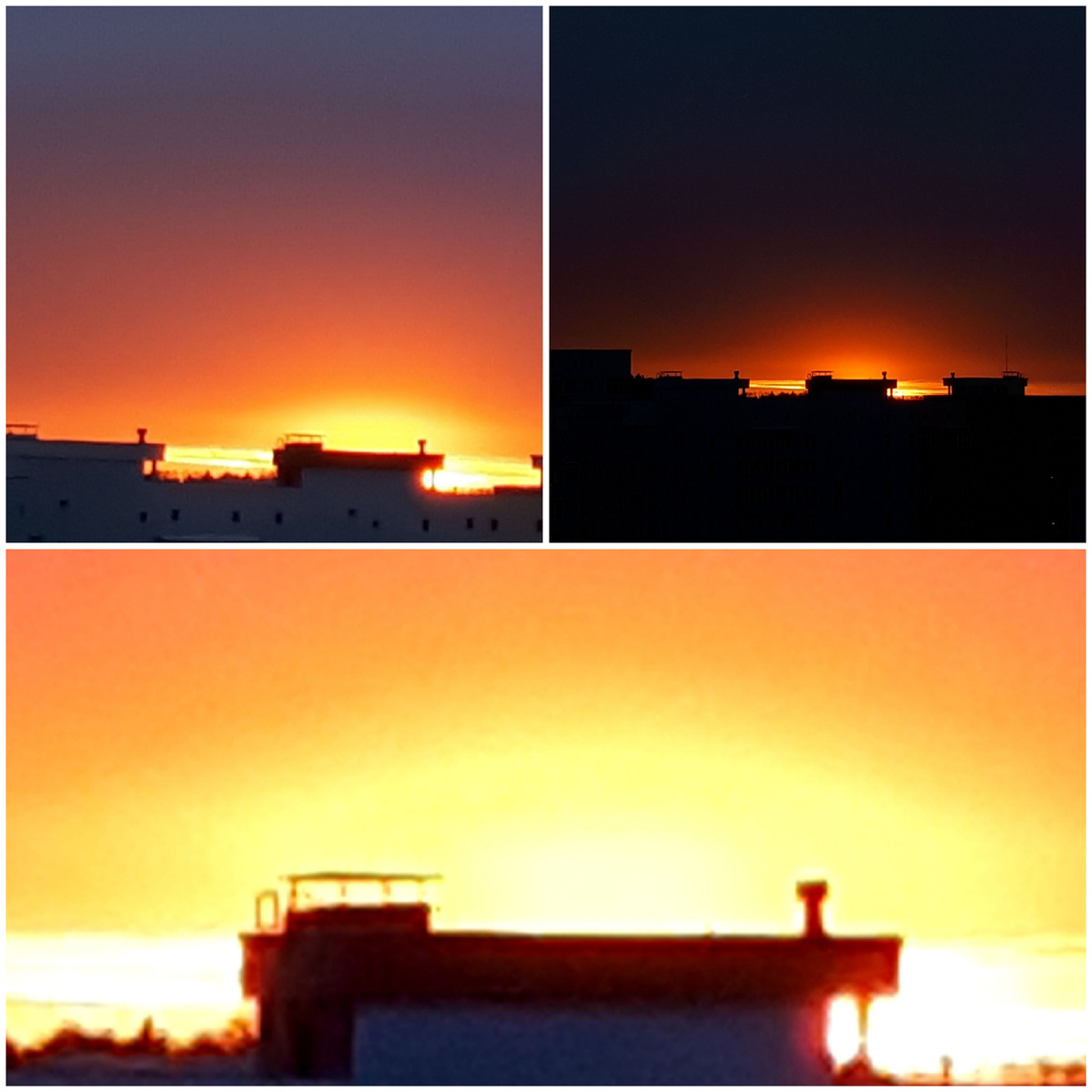 Коллаж автора 08.03.2026г.