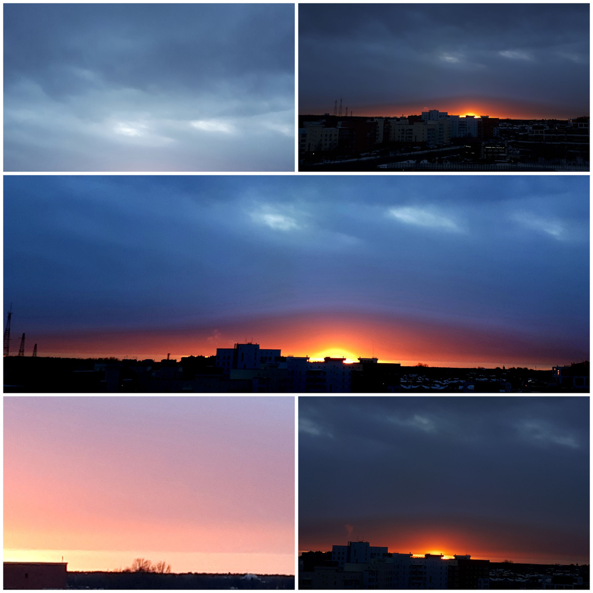 Коллаж автора 08.03.2026г.