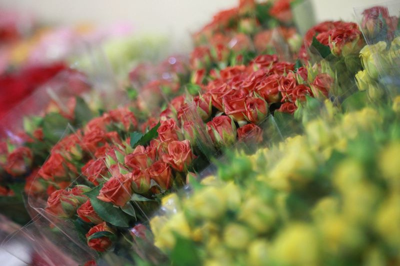    Сергей Булкин/NEWS.ru