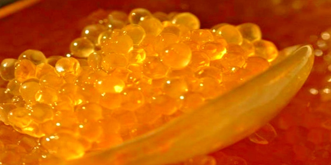 Икра пресноводных рыб, которая по вкусу не хуже красной: что это за вид и где её можно встретить