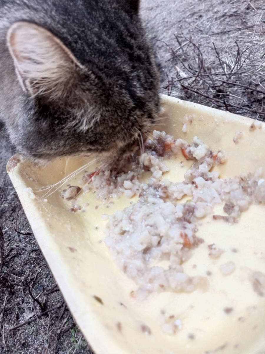 Пора подкрепиться