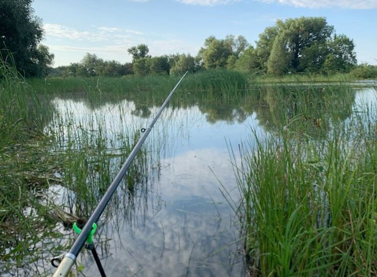 Как я случайно поймал трофей, когда уже собирался домой.