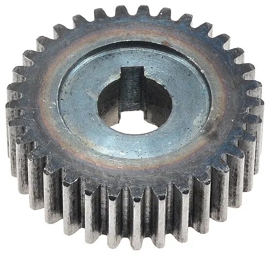 33 зуба на Кунашире.