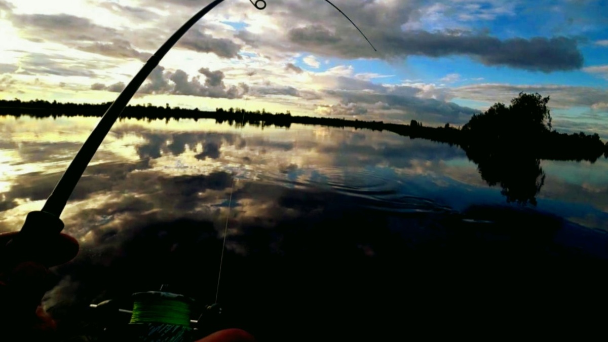 Ночная ловля на мышь