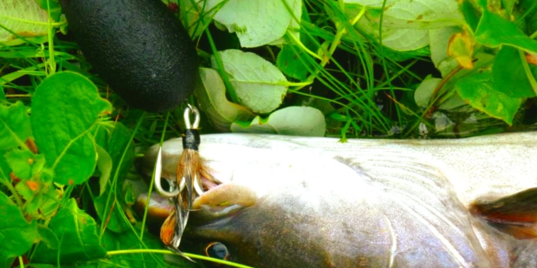 Как ловить на мышь ночью: 4 ошибки, из-за которых щука и таймень игнорируют приманку - и как их исправить