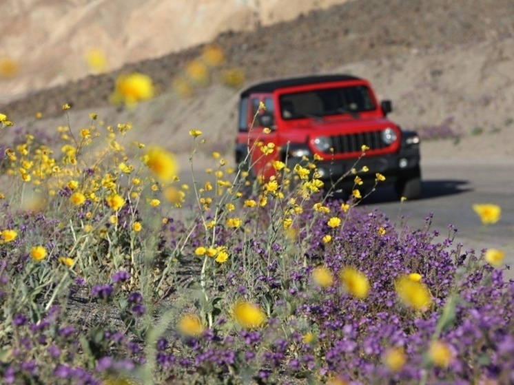     ДОЛИНА СМЕРТИ, МАРТ 2026 ФОТО: Zeng Hui / XinHua / Global Look Press