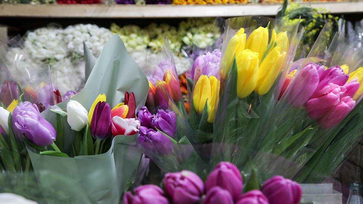    Фото: Артур Новосильцев / АГН Москва