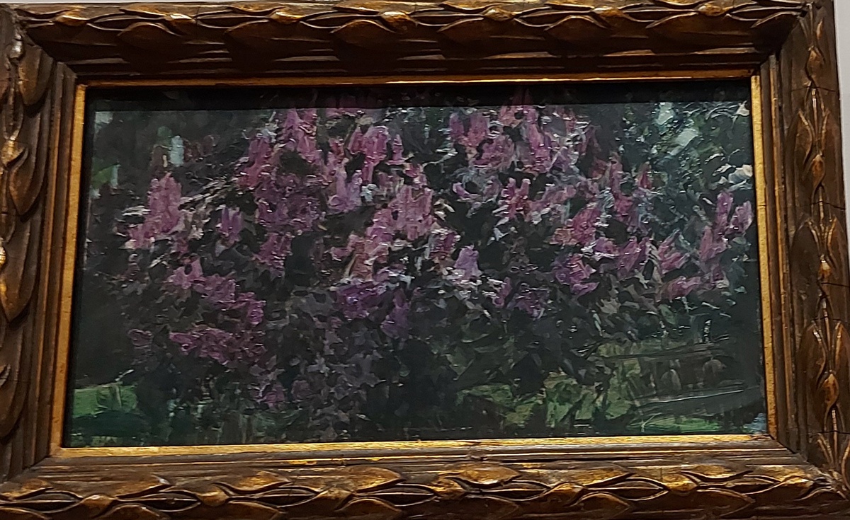 Куст Сирени