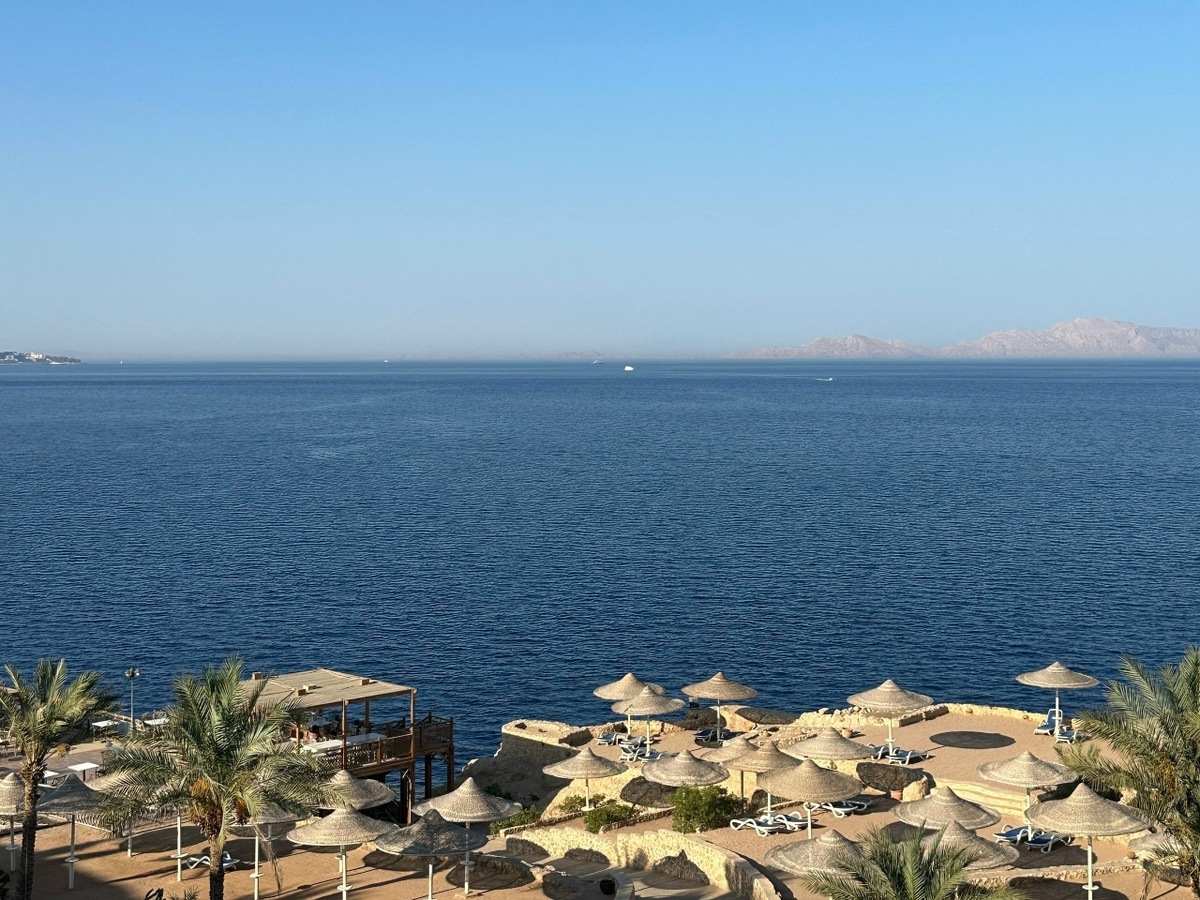 Фото: Елена Голямина 