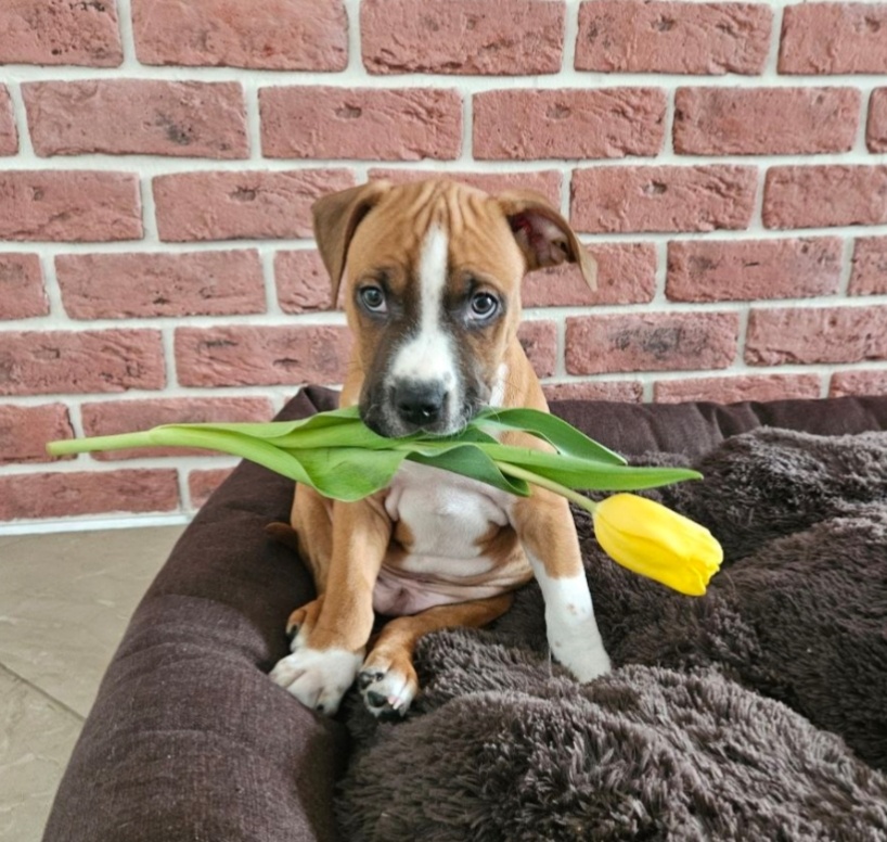 Благодарю, Бриз, за чудесное поздравление с 8 Марта! 