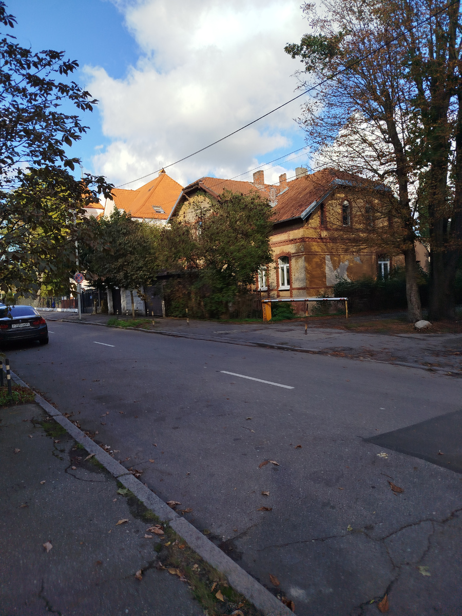 Фото автора.