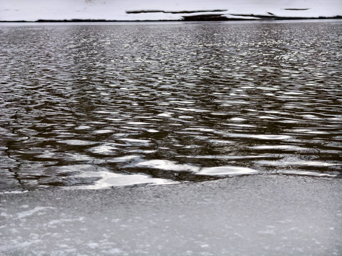 Весенние воды