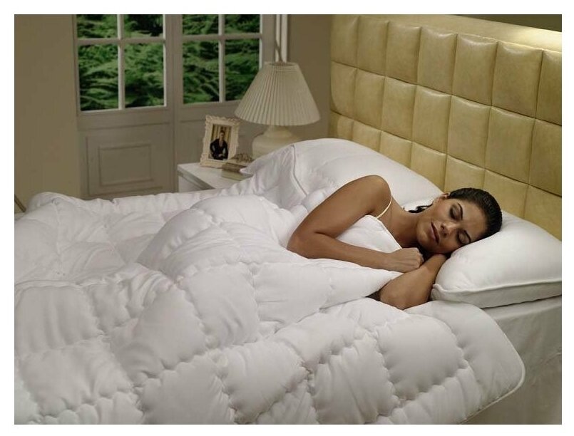 Фото из открытых источников 