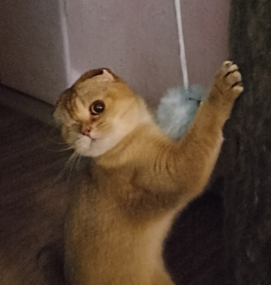 Игрушка эта, голубой шарик, звенит. Но днем этот звук кажется совсем тихим, а вот ночью... 