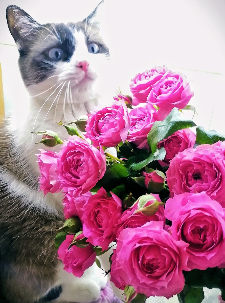 Валера с букетом роз 😻