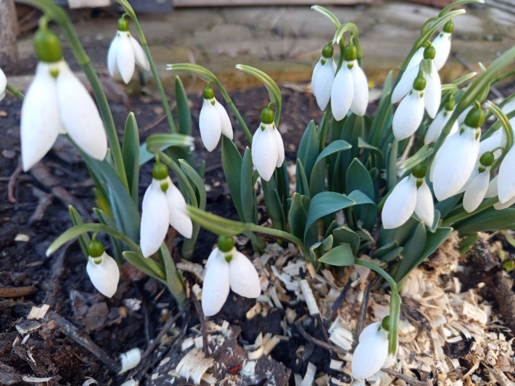    Фото: А. Токарева. Галина Ященко