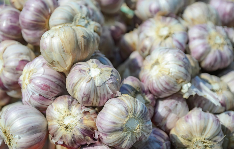 Донце выбрито, чаще именно у китайского чеснока