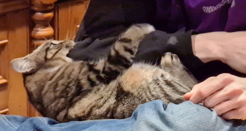    Фото Анастасии Дмитриевой