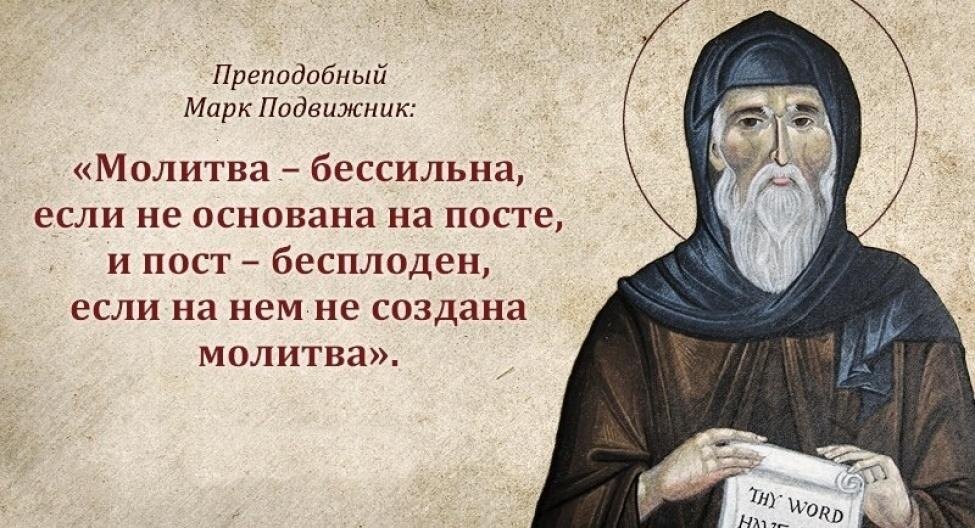 Фото: из открытых интернет-источников