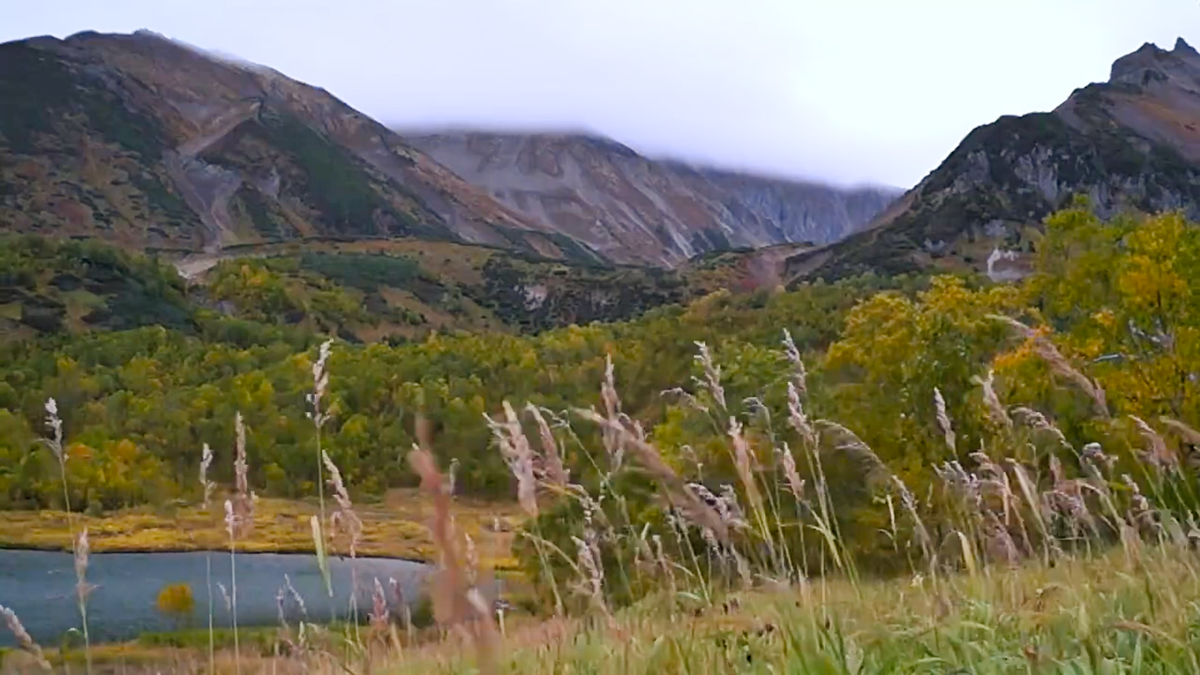 Авторское фото «Сижу - любуюсь»