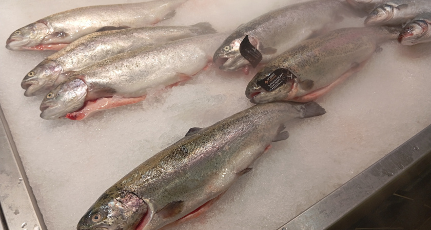    Фото: progorod43.ru