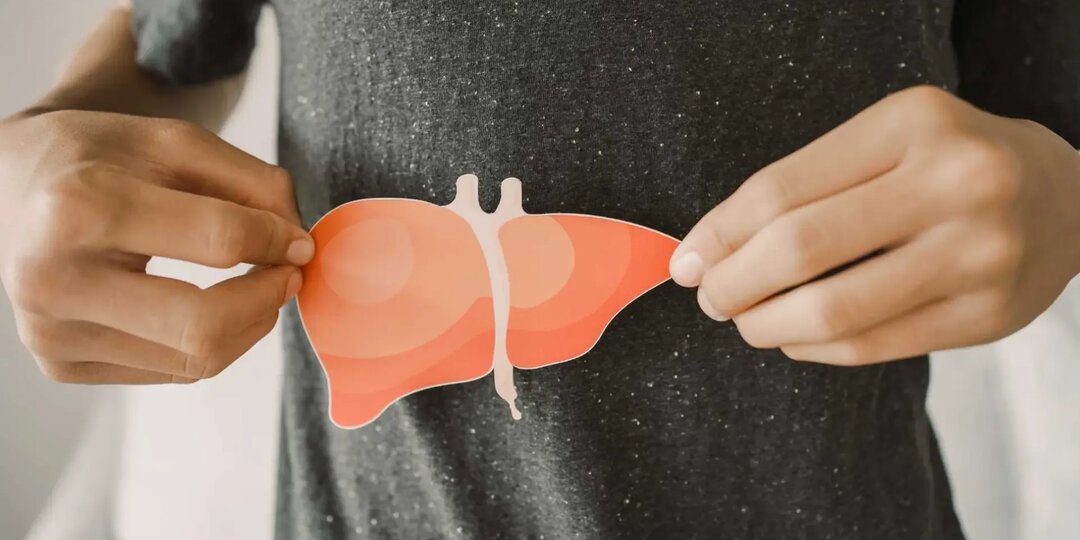 Кисты печени: чего бояться не стоит, а что требует внимания