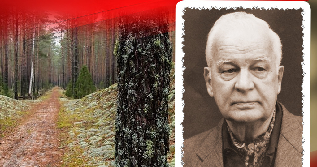 Когда проверка приехала в этот лагерь в 1943 году, следующим утром всё начальство «поставили к стенке». Что потрясло московских офицеров?