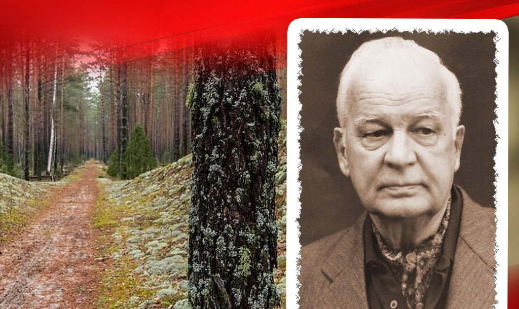 Здесь проходила узкоколейка в сторону лагеря в Суслонгере / Станислав Иосифович Ростоцкий