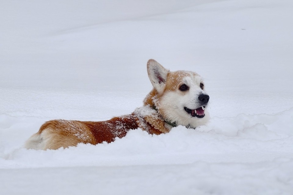    В столице Сибири сохраняется тепло. Алексей БУЛАТОВ