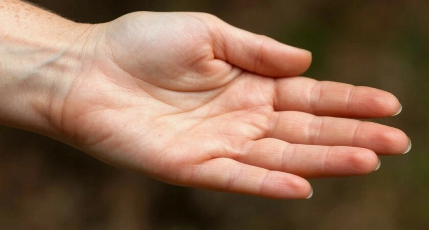    Создано в Шедевруме