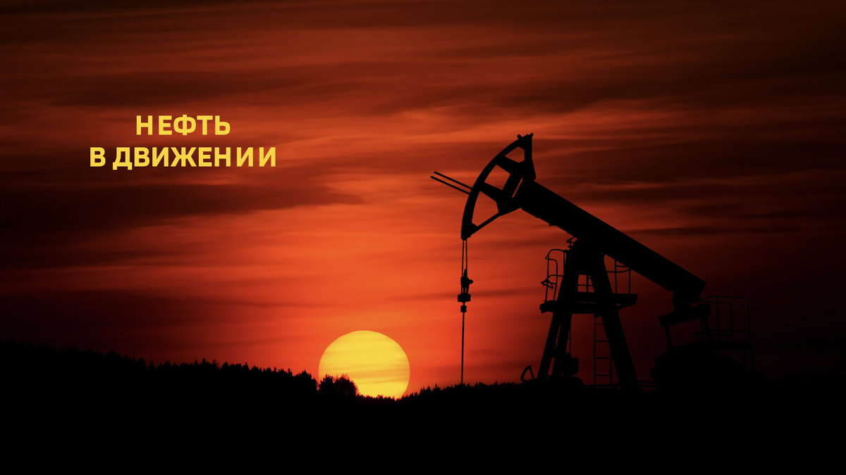    Нефть в движении