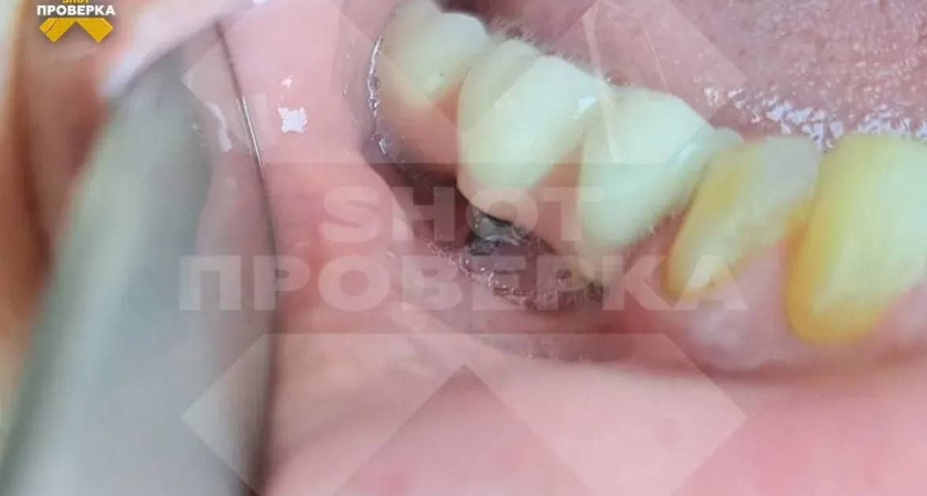    Фото: SHOT Проверка