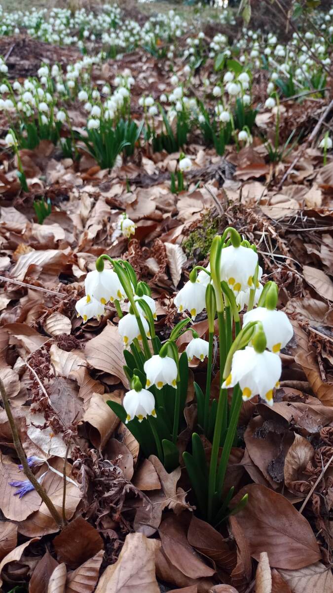 Фото от дочери