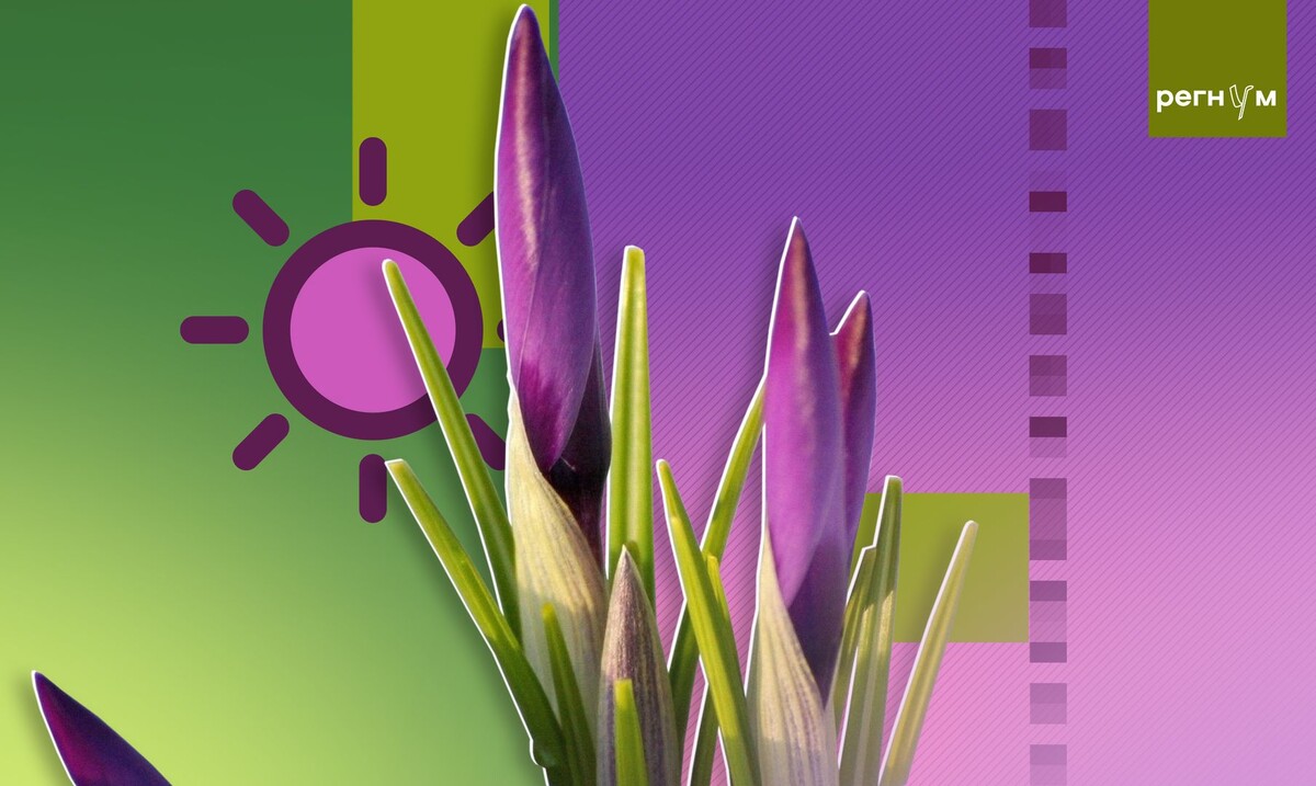     / Источник: Иван Шилов (с) ИА Регнум