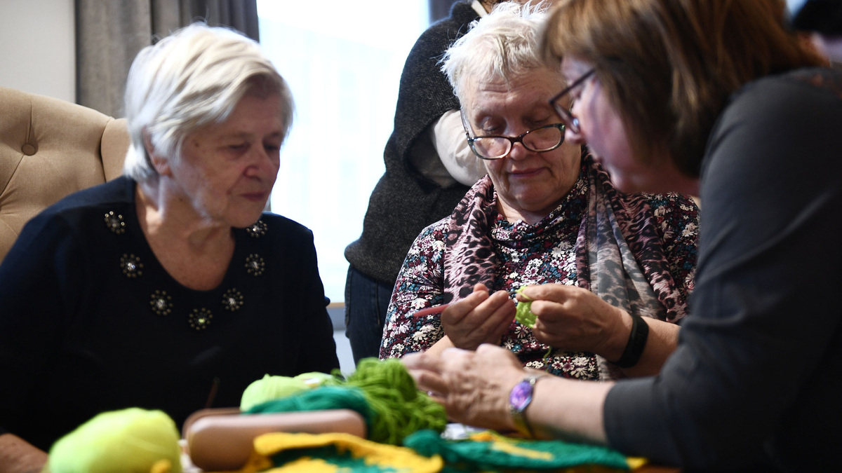    Рукоделие вязание пенсионер РИА