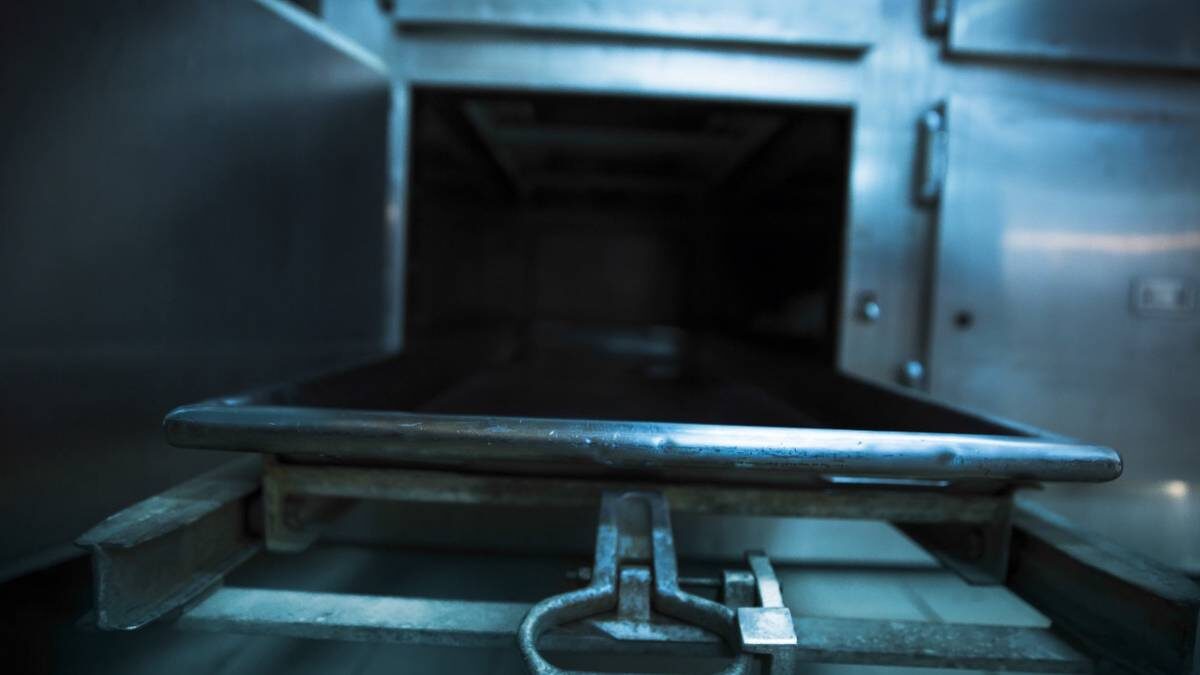    Фото: Shutterstock