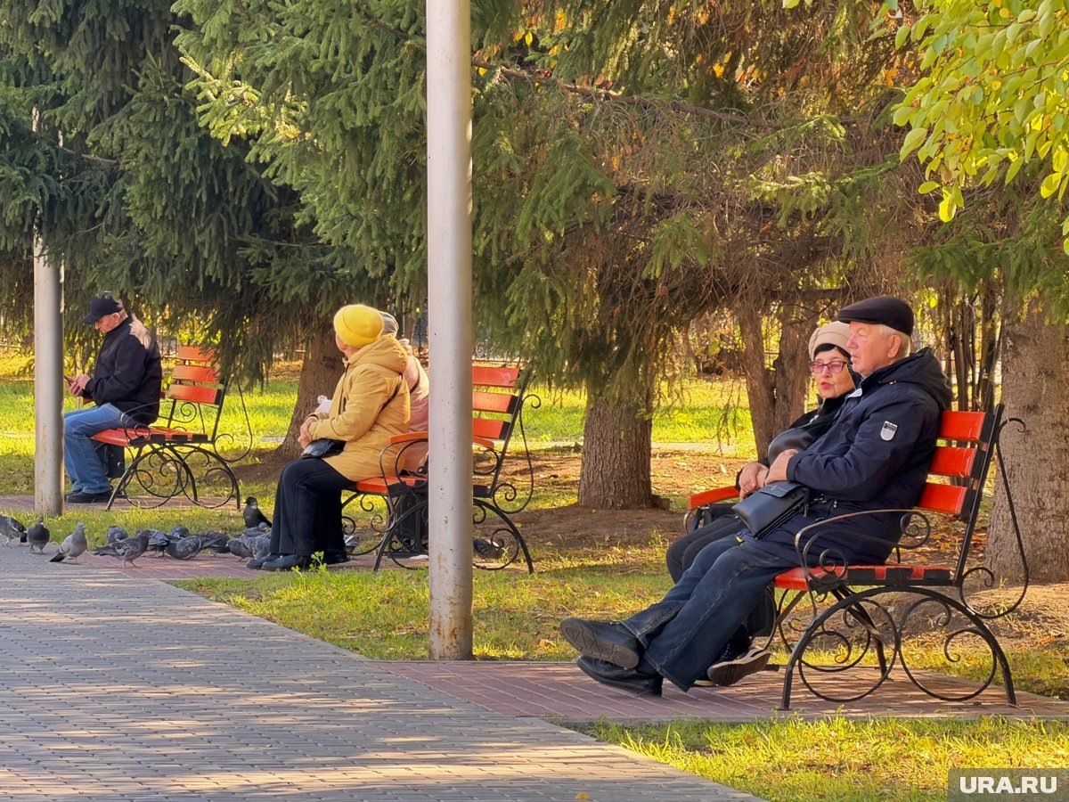     По мнению Чернышова, мера позволит укрепить здоровье работающих пенсионеров