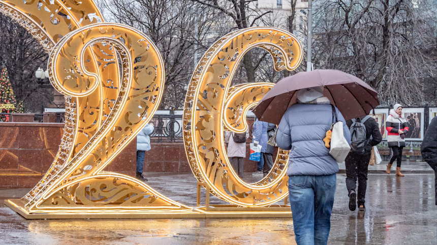    Фото: ИЗВЕСТИЯ/Константин Кокошкин