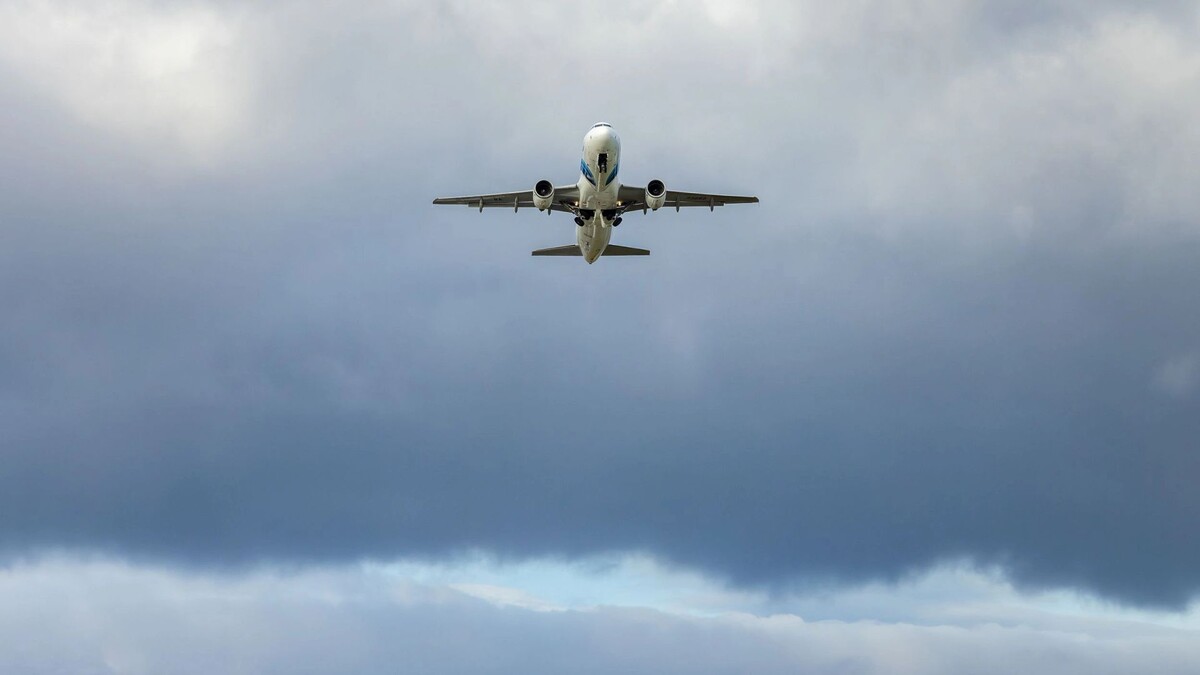    Фото: Федор Воронов / «Ямал-Медиа»