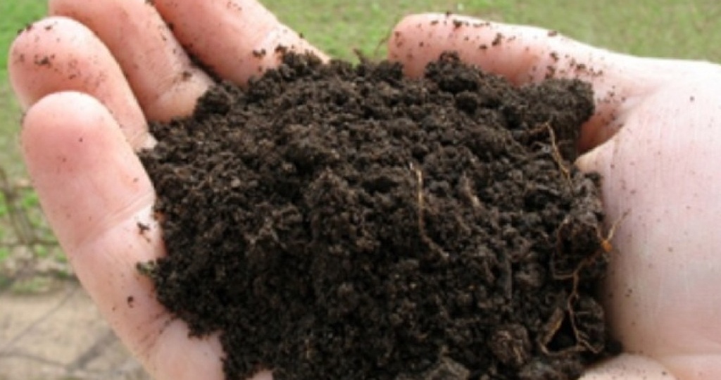 Удобрение биогумус