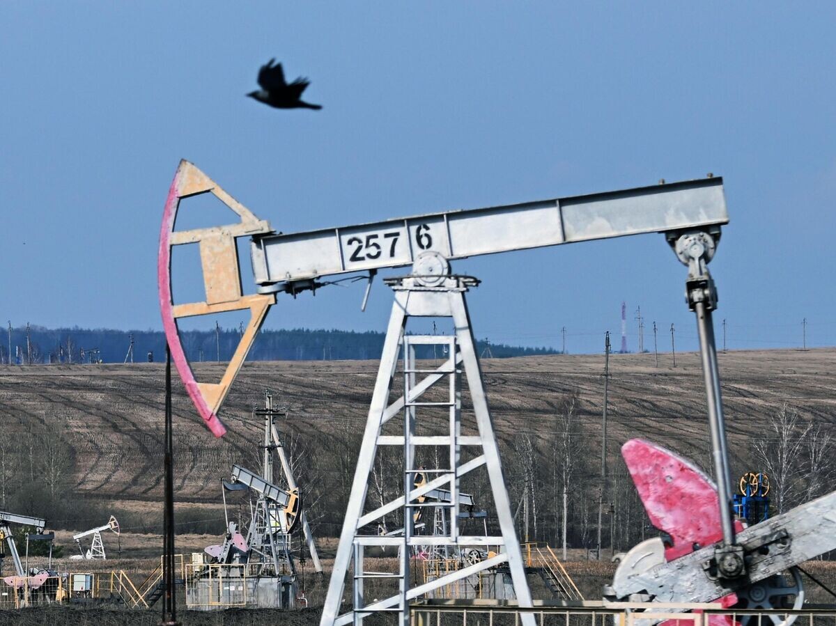    Добыча нефти в Татарстане | © РИА Новости / Максим Богодвид