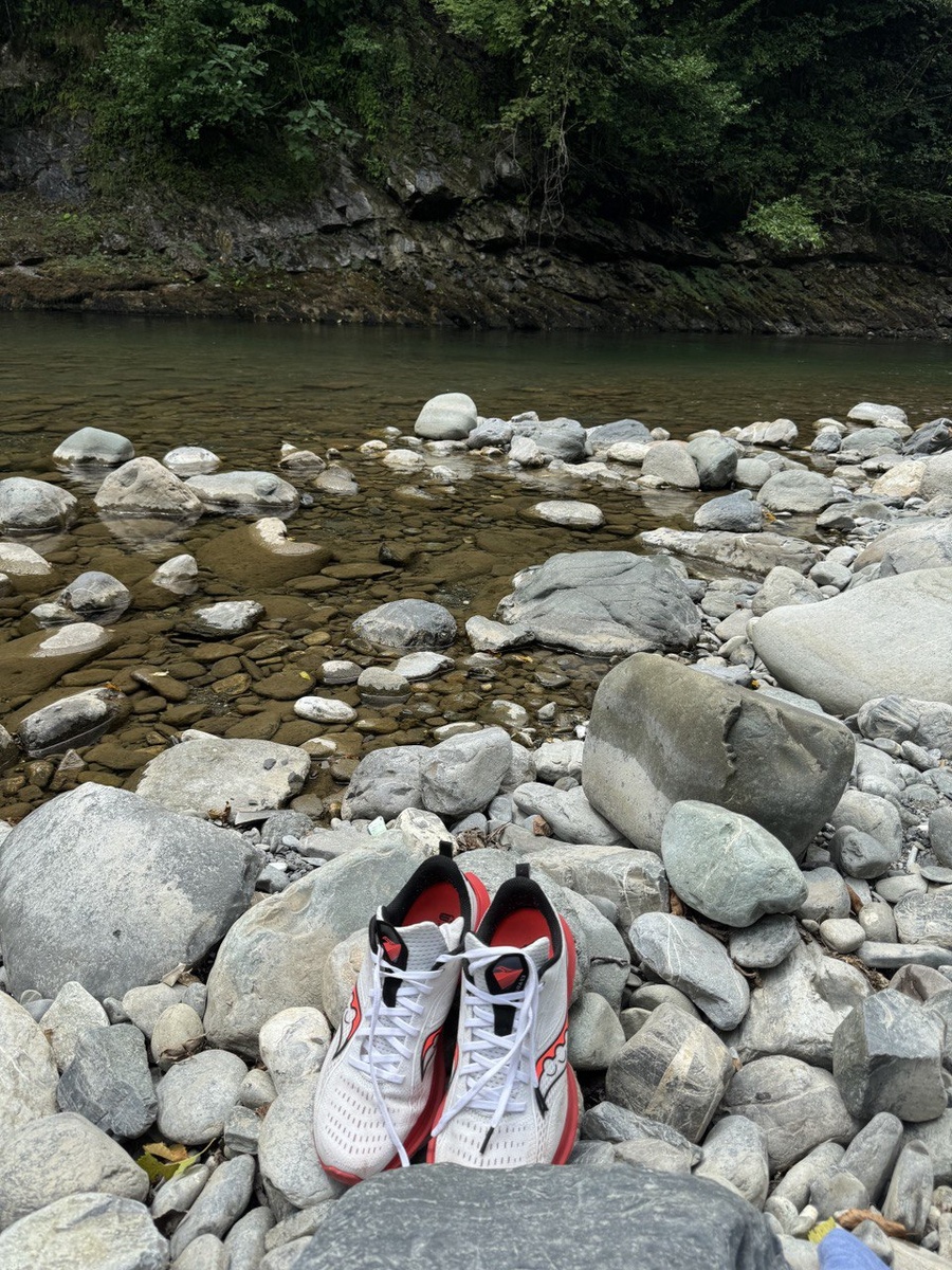 Даже Сокони отдыхают у водички, чем мы хуже?