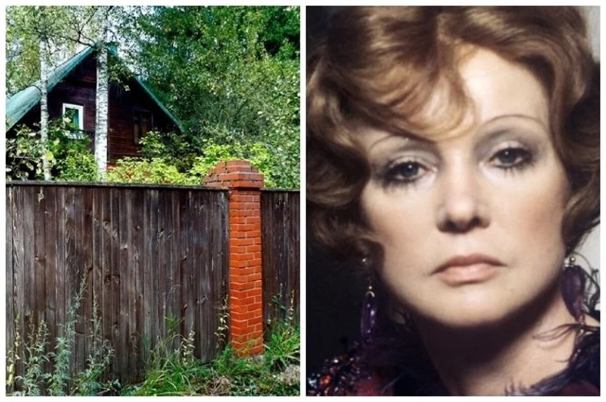    Пока родственники выясняли отношения, дача пришла в полное запустение.