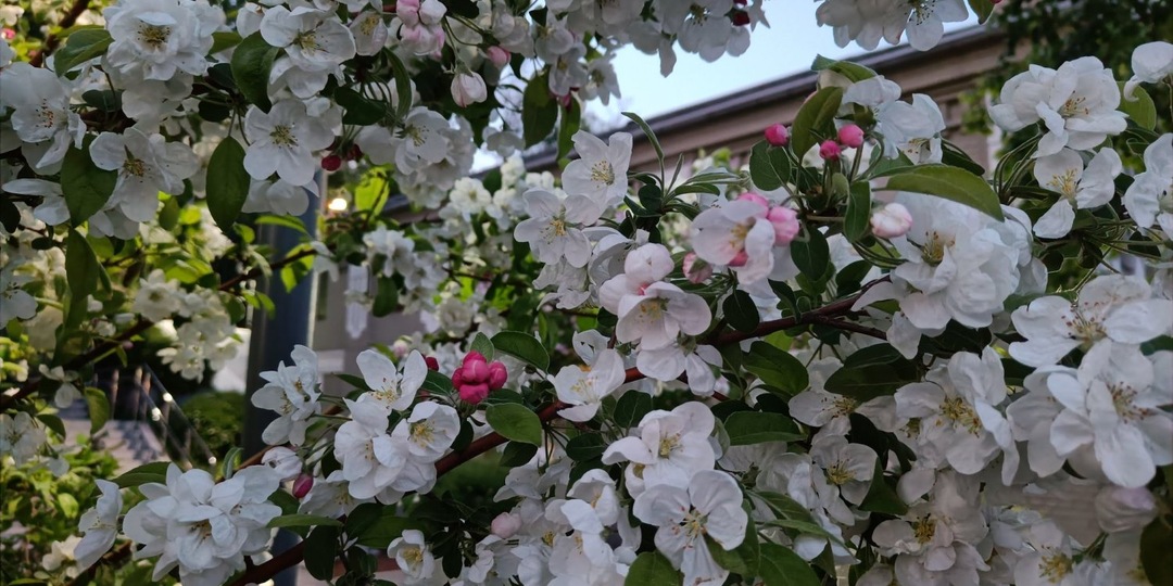 Сокращенные рабочие недели в мае и июне ждут россиян