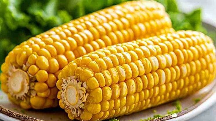     Переработка кукурузы углубляется