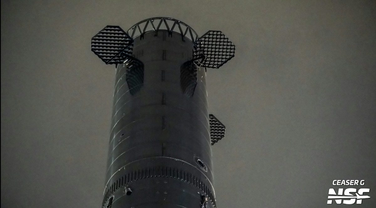 Фото Ceaser G/NSF  📷
