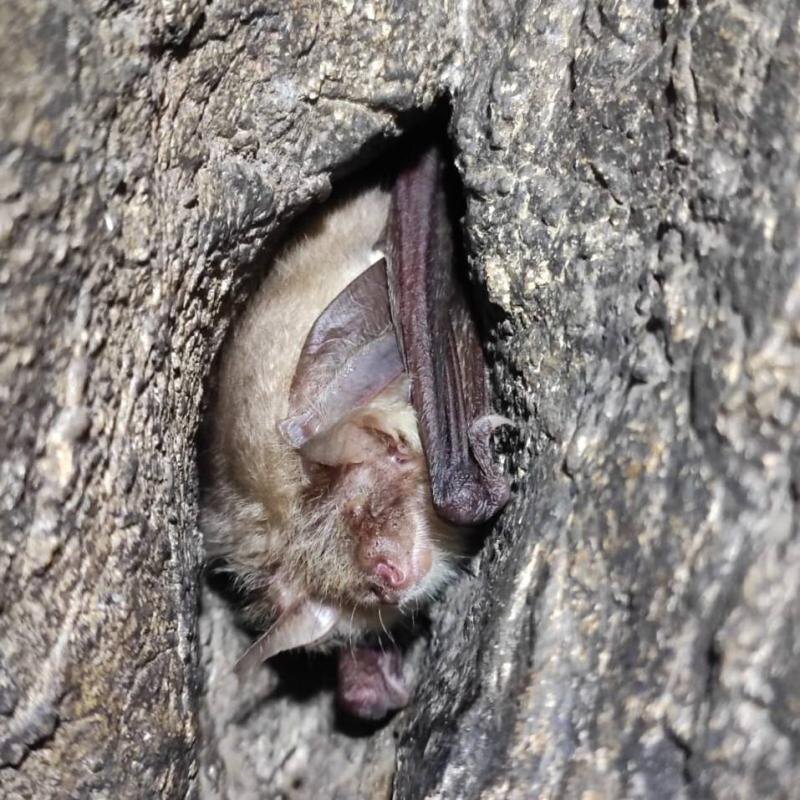     Фото: ДИП Свердловской области