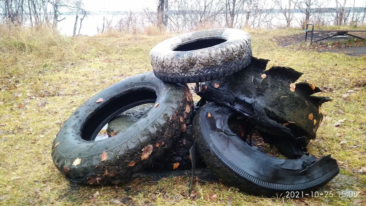 Автомобильные покрышки со дна Шарташа