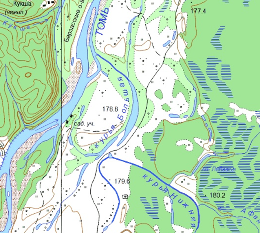 Курья Большая. Фрагмент карты, 2001г.