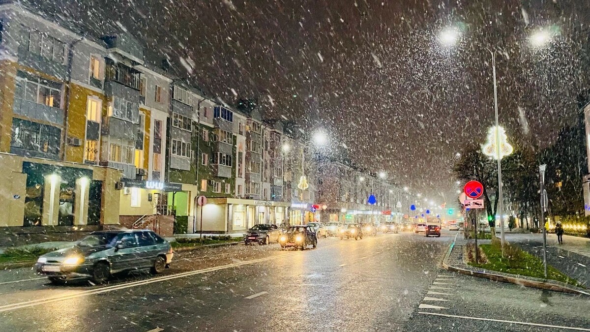   Юлия Литвиненко / mkset.ru